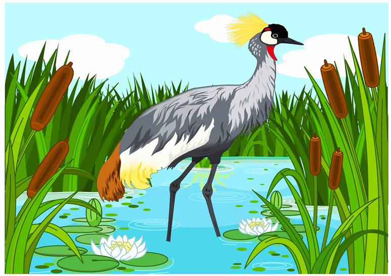 Журавушка - Федий (2015)_0.png